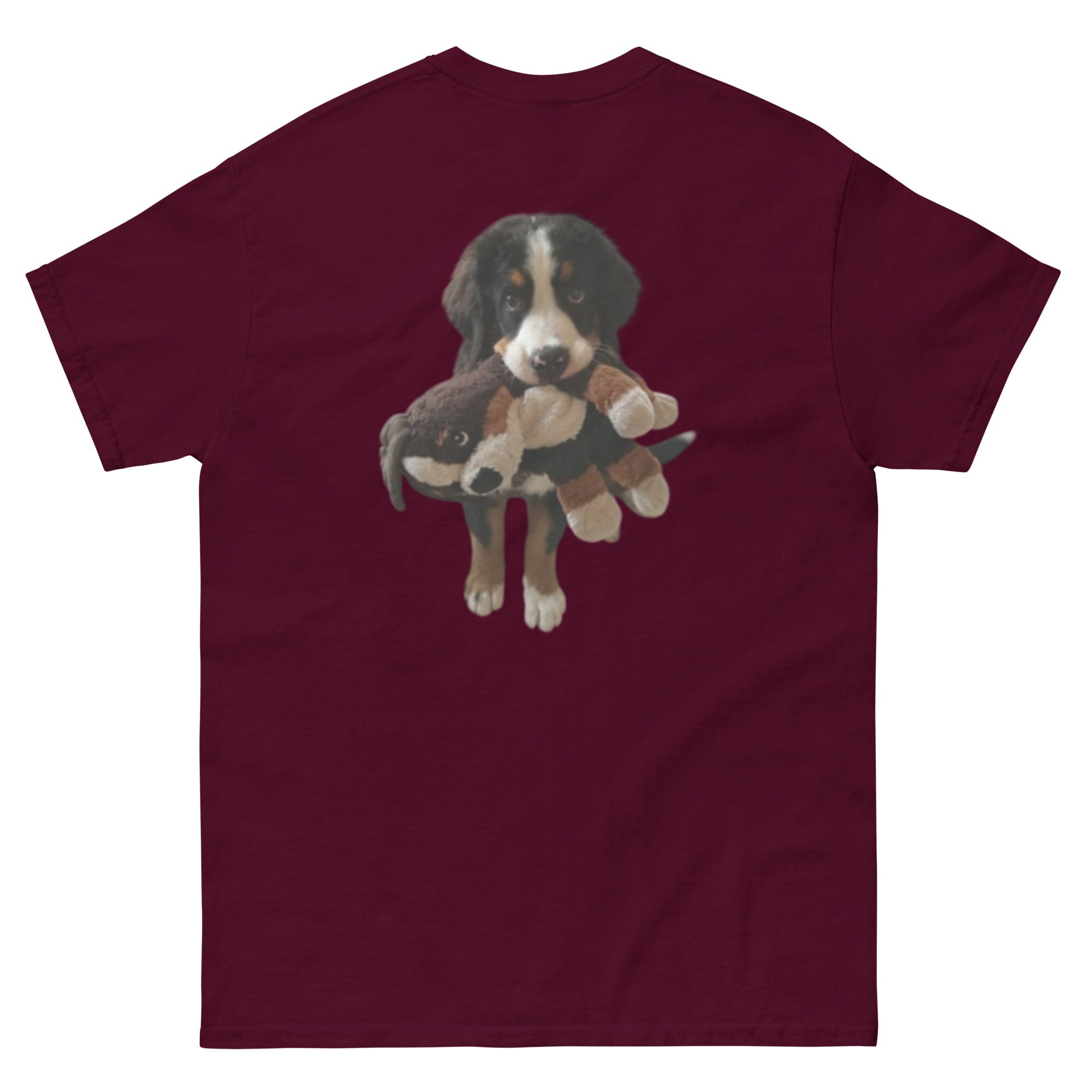 Bernese colection